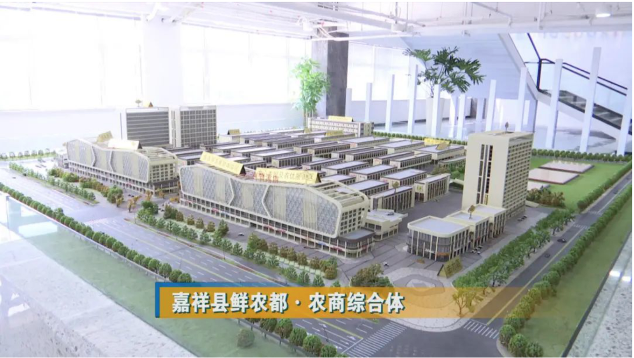 金乡县领导考察嘉祥鲜农都