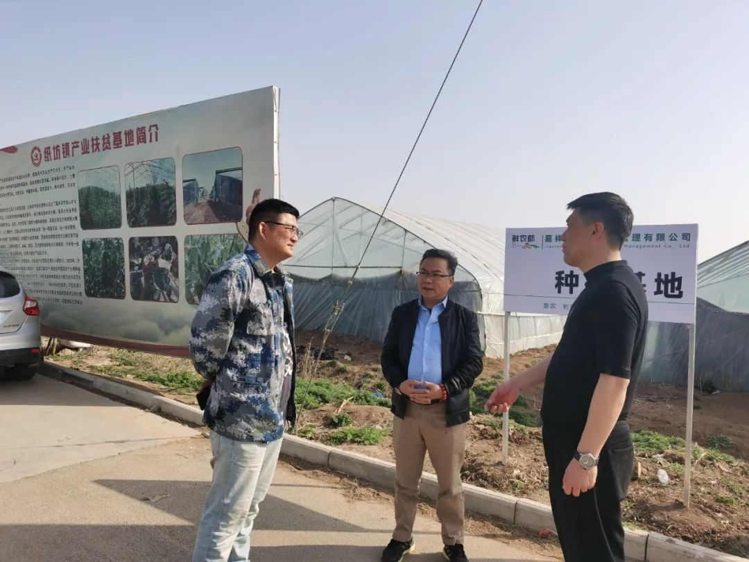鲜农都实施合作基地插牌，助力嘉祥大宗农产品销售
